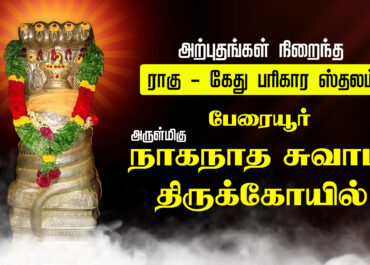 பேரையூர் அருள்மிகு நாகநாத சுவாமி திருக்கோயில்